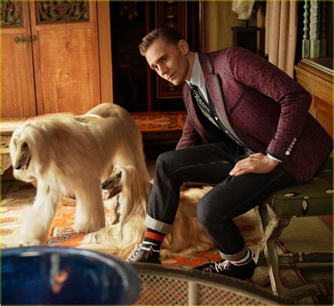 doberman gucci|Meet the Dogs of Gucci's New Campaign .